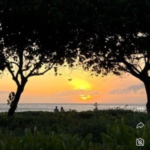 SILENT LIVE ON MAUI! Come shop with me.